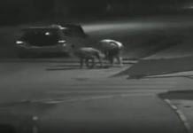 Двое парней воровали люки в Бишкеке и попали на видео