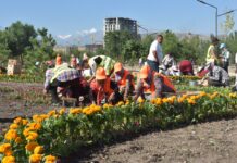 В Бишкек прибыл цветочный подарок из Узбекистана