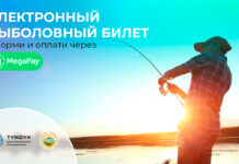 Как легко и быстро получить разрешение на ловлю рыбы в Кыргызстане онлайн?