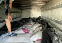 Казакстанга 6 тонна кумшекер алып өтүүгө аракет кылган жарандар кармалды