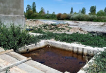 Жети-Өгүздө көлдү булгап жаткан мал союучу жай аныкталды