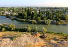 В Таласе пропавшую в лесу девочку нашли мертвой