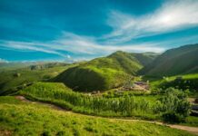 Чүйдүн Чуңкурчак жайлоосунда  Садыр Жапаровдун катышуусунда салтанаттуу иш-чара өткөрүлөт