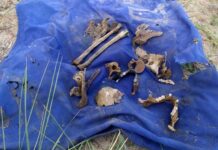 В озере Иссык-Куль нашли человеческие останки