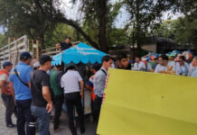 Владельцы батутов в Дубовом парке полезли в драку с сотрудниками мэрии