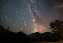 Не пропустите! Сегодня ночью пройдет самый яркий звездопад года