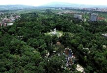 «Бишкек суу чарба» муниципалдык ишканасы түзүлдү