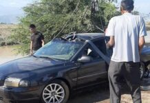 Акыркы жумада республикада 16903 жол эрежесин бузуу аныкталды