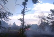 Ботаникалык бакчанын аймагында куураган чөптөн өрт чыкты