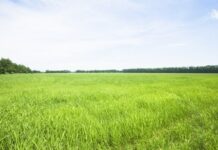 20 гектаров, которыми ранее завладела компания Данияра Усенова, вернули государству