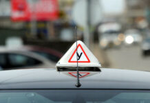 На Иссык-Куле оштрафовали 5 автошкол