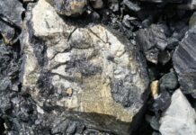 «Кумтөр Голд Компани» жабык акционердик коомуна жаңы жетекчилер дайындалды