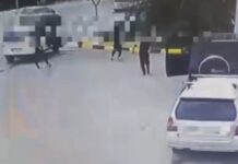 На заправке в Бишкеке члены ОПГ отобрали у мужчины «Гелендваген». ВИДЕО