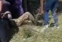 Под Бишкеком грузовик с военными курсантами попал в ДТП, пострадали 9 человек