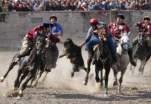 Нарында көк бөрү боюнча президенттин кубогу үчүн мелдеш башталат