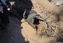 В Бишкеке обнаружили деревянный водовод 100-летней давности. ФОТО