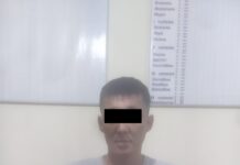 Дүкөндүн кампасын талкалап, 150 миң сом материалдык чыгым келтирген жаран кармалды