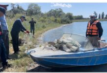 Ысык-Көл облусунда браконьерликке каршы күрөш күчөтүлүүдө