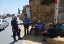 Баткенде жүк ташуучу ууналарын жолдун жээгине токтотуп, соода-сатык иштери менен алектенген жарандарга эскертүү берилди