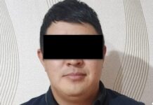 Ири алдамчылыкка шектелген жаран кармалды