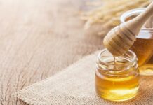 Японияга 400 тонна бал экспорттоо боюнча келишимге кол коюлду