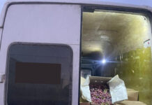 Тажикстандан аткезчилик менен алып келинген 4 тоннадан ашык жүзүмдү аныкташты