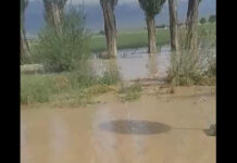 На Иссык-Куле затопило 8-й километр дороги Балыкчи — Каракол