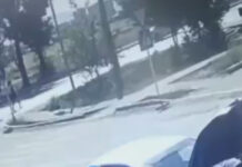 В Бишкеке грузовик на пешеходном переходе сбил девушку. ВИДЕО