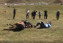 В Чункурчаке во время скачек умерла лошадь. ВИДЕО