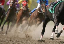 Победитель скачек в честь Дня независимости КР получит квартиру в Бишкеке