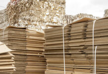 Кабмин ввел запрет на вывоз бумаги и картона, а также древесины и лесоматериалов за пределы ЕАЭС