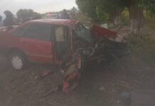 На Иссык-Куле авто врезалось в дерево, погибли двое и 7 пострадали. ВИДЕО