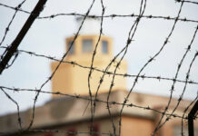 Ош шаарындагы №25 СИЗОдо кармалган жаран каза болду