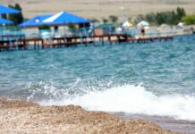 “Бизге издөө иштерине катыша тургандар абдан керек”: Аиша Мурдинованын апасы элге кайрылды