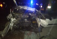 Жылкыны сүзгөн жол кырсыгында 5 адам каза болду