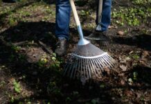 Садыр Жапаров назначил Национальный день чистоты в Кыргызстане