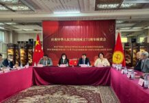 Китай твердо поддерживает политику Кыргызстана по защите суверенитета и территориальной целостности, — Ду Дэвэнь