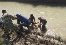 Найдено тело пропавшего ранее жителя Кара-Бууры