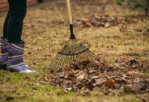 17 сентября в Бишкеке пройдёт массовый субботник