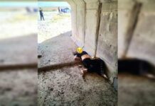 Баткен ОИИБи: Кадамжайда жашы жете элек кыздын өлтүрүлүшүнө милиция кызматкерлеринин тиешеси жок