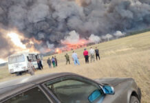 Костанайда токой өртүнө байланыштуу өзгөчө кырдаал жарыяланды