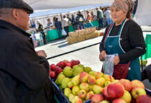 Бишкекте айыл чарба жарманкеси өтөт