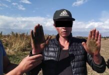 Три жителя Каракола попались во время сбора конопли. ВИДЕО