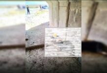 14 жаштагы кыздын өлүмү боюнча Акыйкатчы институтунун кызматкерлери жеринде иш алып барып жатат