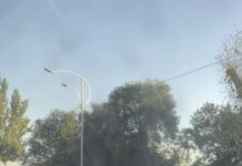 Камчыбек Ташиевге тиешелүү унаа каршы тилкеге чыгып, скутер айдаган кишини сүзүп кеткен