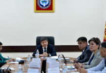 Дары-дармектерди жүгүртүүгө байкоо жүргүзүү боюнча кеңешме болду