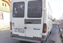 173-маршруттук таксинин айдоочусу окуучу баланы урганда, ал арыкка кулап кетти