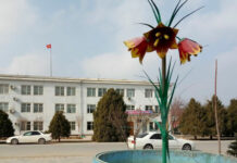 Баткен: Жаңы-Жер айыл өкмөтүндөгү мурдагы жемкорлук схемасы ачыкталды