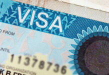 В Казахстане появятся новые виды виз