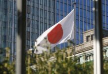 Япониядагы кыргыз диаспораларынын өкүлдөрү митингге чыгышты